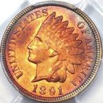 1891 US penny, Indian head